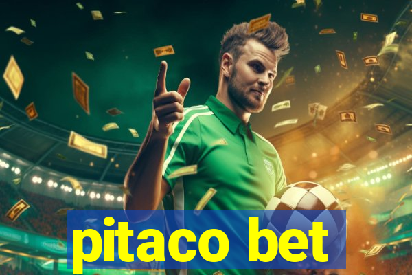 pitaco bet